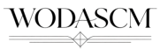 Woda Consortium (Shenzhen) Supply Chain Management Co., Ltd. Logo